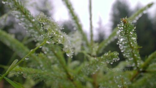 Hegre – A Day In The Life Of Kira A