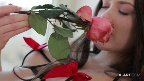 X-Art – Vixi Kiss from a Rose