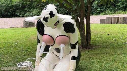 HuCows – Anc1lla And Miss Fetilicious Latex Hucows Outdoors