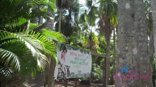 ATKGirlfriends – Nicole Nichols Sarasota 2 Part 5 ATKGirlfriends – Nicole Nichols Sarasota 2 Part 5